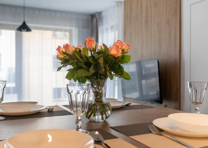 Tiny & Kleine Kilinskiego 17b - 2xtv, Playstation, Pralko-suszarka Lejlighed Szklarska Poręba